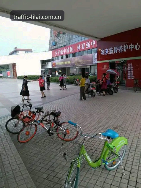 利来体育平台出行更畅通信息信道登录入口官方下载完整操作教程